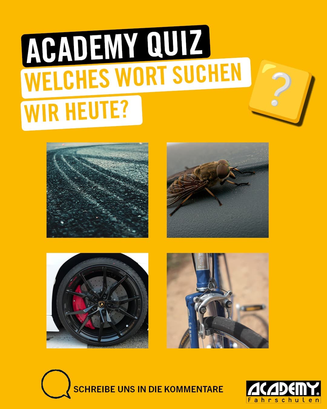 Führerschein-Alltag: Welches Wort wird durch diese 4 Bilder dargestellt?