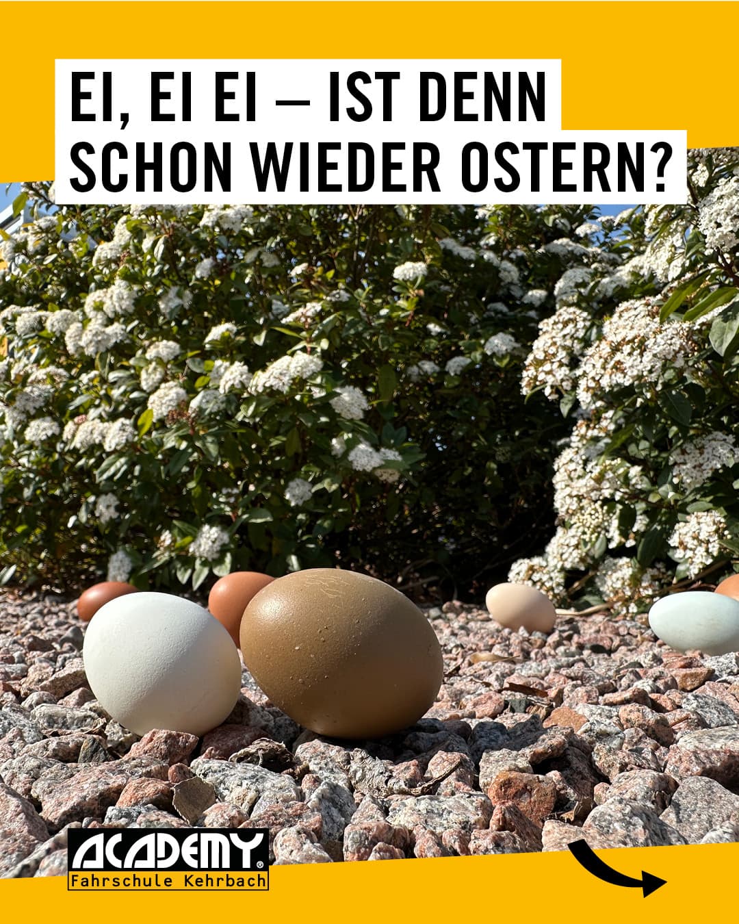 🥚 Ei, ei, ei – ist denn schon wieder Ostern? 🐣