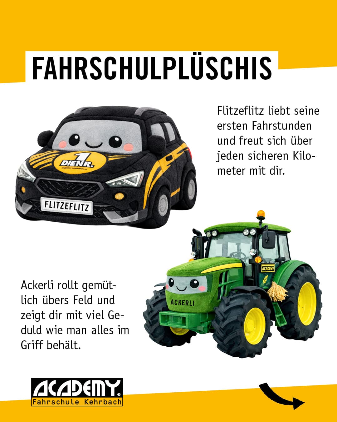 Fahrschulplüschis zum Schmunzeln 😍